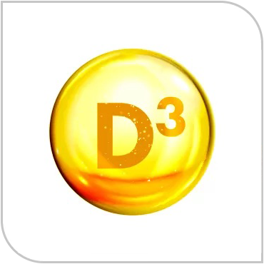 prekursor witaminy D3